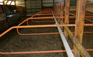 001 2 - Dairy Train Classifieds