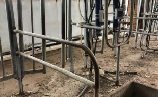 1377 8 Stall Step Up Parlor Stalls One - Dairy Train Classifieds