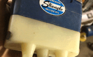 1821 310X190 E1732046170842 - Dairy Train Classifieds