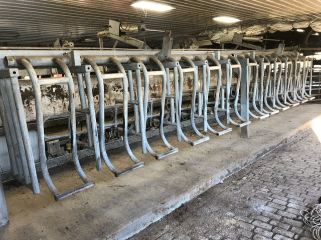 1956 3 3 - Dairy Train Classifieds