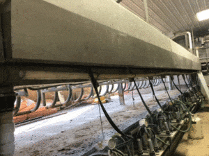 1961 1961 2 - Dairy Train Classifieds