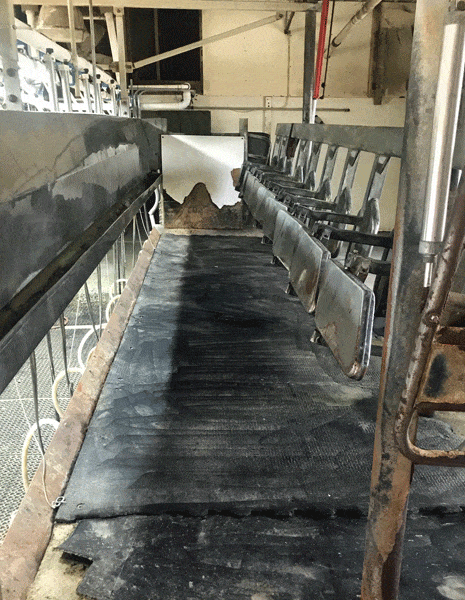 1981 Stalls 2 - Dairy Train Classifieds