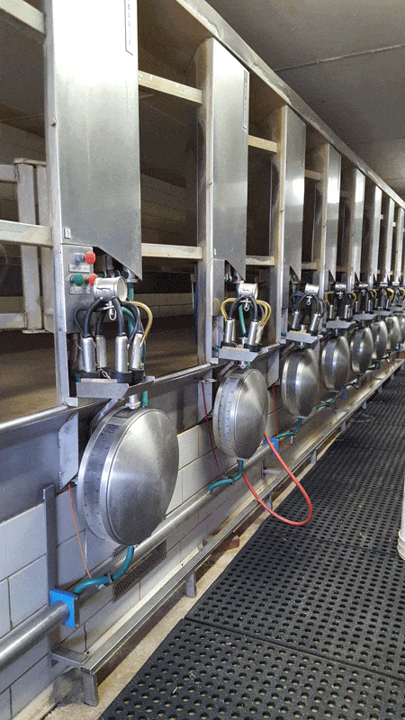 20161229 104220 1 - Dairy Train Classifieds