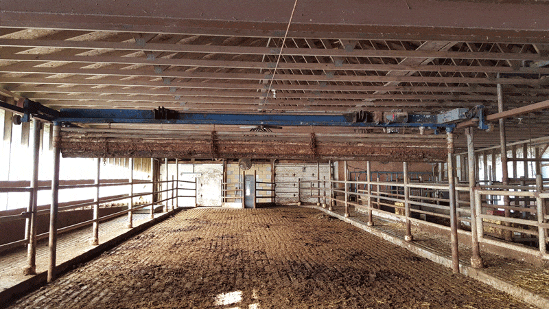 20161229 105800 - Dairy Train Classifieds