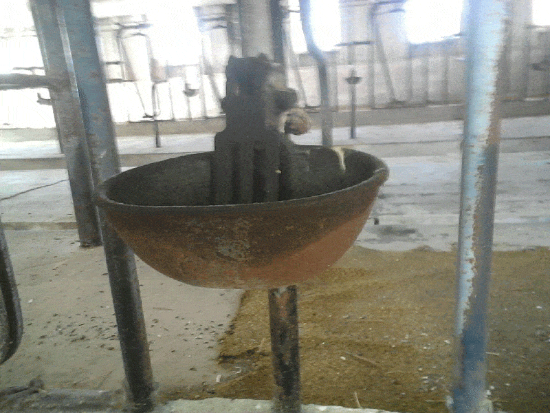 20170322 151456 - Dairy Train Classifieds