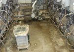 Used Double 8 Parlor