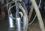 Used Double 8 Parlor -- Omni Detachers