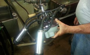 20170922 093648 - Dairy Train Classifieds