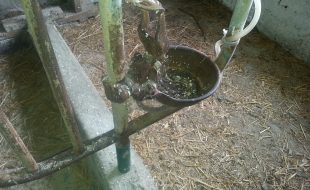 20170922 112131 - Dairy Train Classifieds