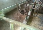 Used Comfort Stalls Package of 32 (cut off at the floor)
