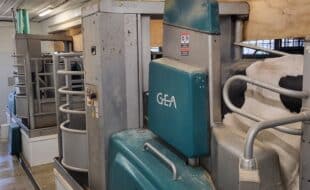 20250513 152242 - Dairy Train Classifieds