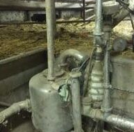 2070 310X190 E1753973488967 - Dairy Train Classifieds