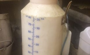 2327 - Dairy Train Classifieds