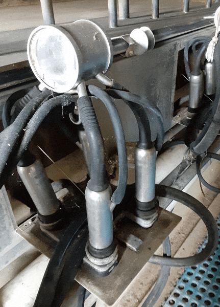 2346 5 2 - Dairy Train Classifieds