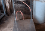 Used Future Cow Teat Scrubber