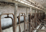 Chore Boy PARLOR no tank
