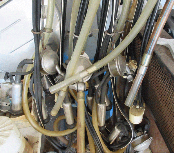 497 I - Dairy Train Classifieds