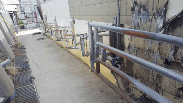 617 - Dairy Train Classifieds