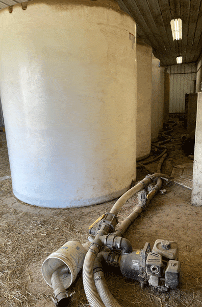 8 4 - Dairy Train Classifieds