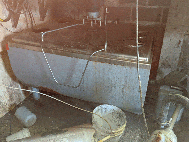 83420A78-C542-4568-8Bbe-23F947670114 83420A78 C542 4568 8Bbe 23F947670114 - Dairy Train Classifieds