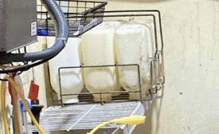 Bottles And Baskets - Dairy Train Classifieds