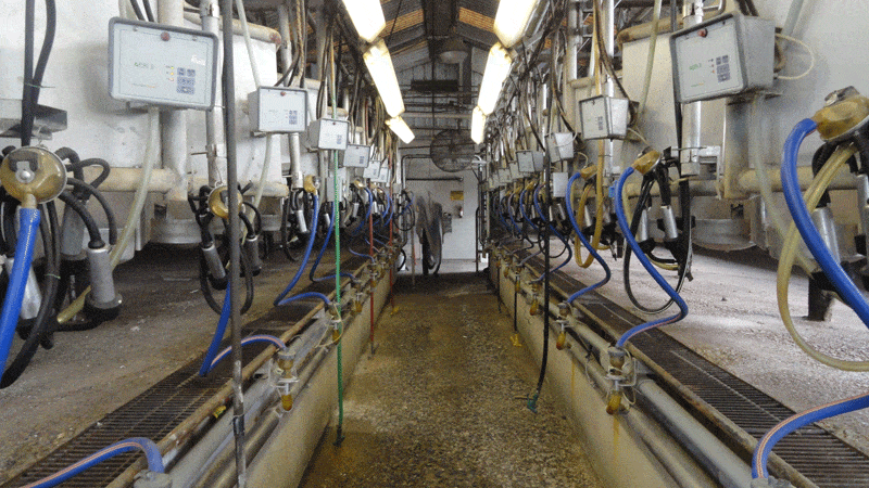 Dairy4Photos 011 - Dairy Train Classifieds