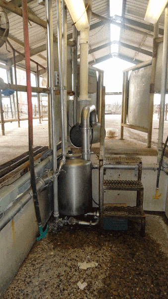 Dairy4Photos 017 1 - Dairy Train Classifieds
