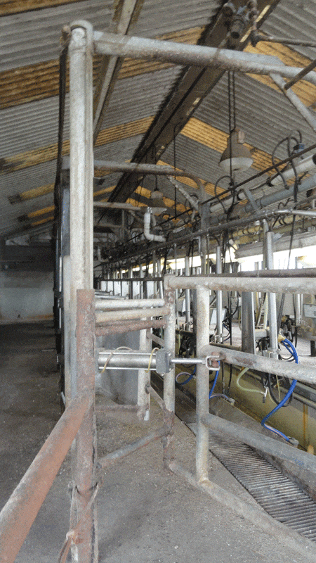 Dairy4Photos 024 - Dairy Train Classifieds