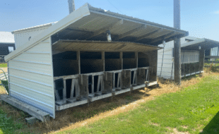 Hutch One - Dairy Train Classifieds