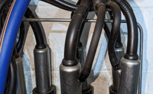 Hunger Claws - Dairy Train Classifieds