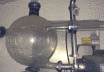 Chore Boy PARLOR no tank