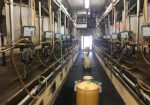 Used Apex Autopuls M Pulsator