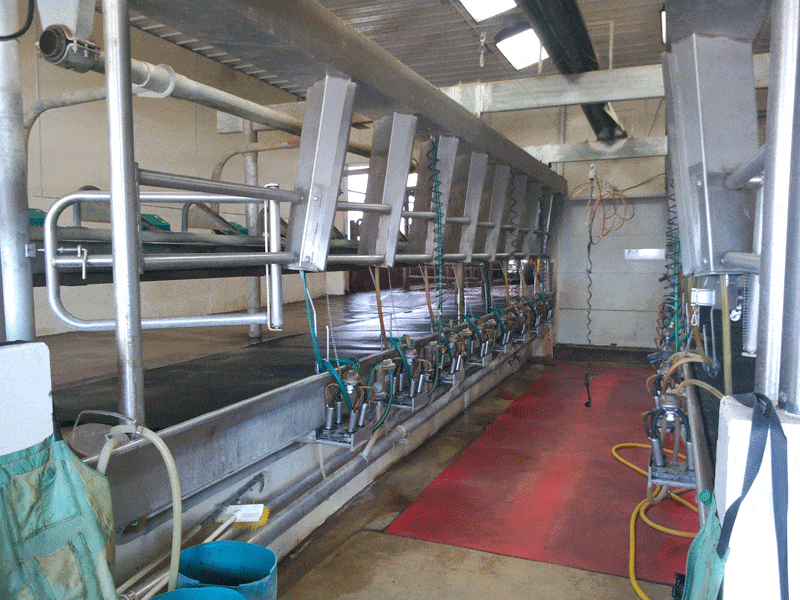 Img 20130401 143927 - Dairy Train Classifieds