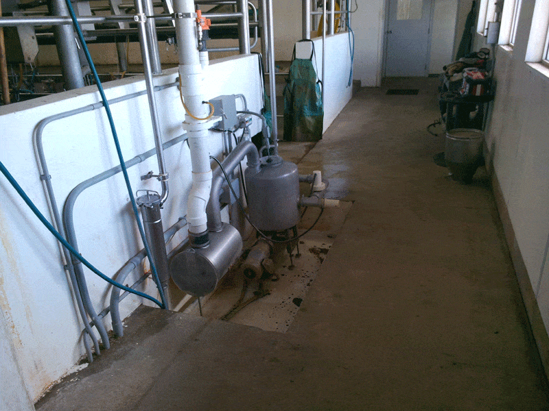 Img 20130401 144259 - Dairy Train Classifieds