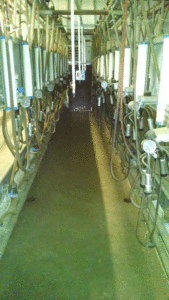 Img_20180406_124137178 Img 20180406 124137178 - Dairy Train Classifieds