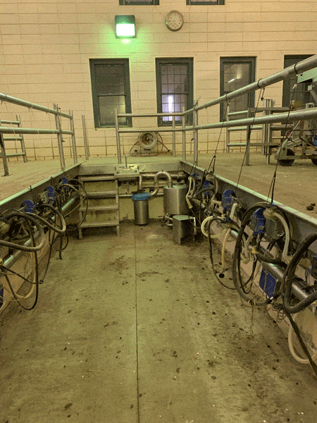 Img 2243 2 - Dairy Train Classifieds