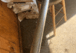 milk filter housing