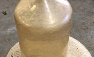Jar 2 - Dairy Train Classifieds
