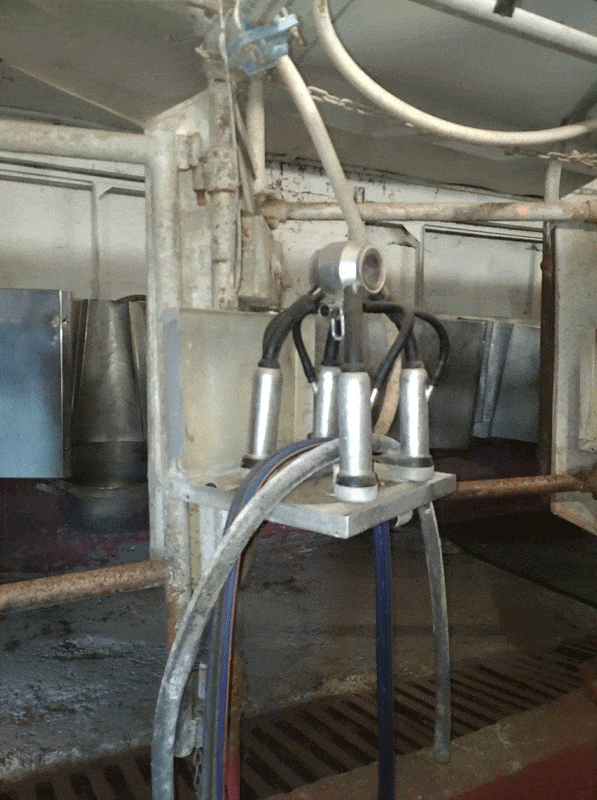 P 20190423 104321 Ll 1 - Dairy Train Classifieds