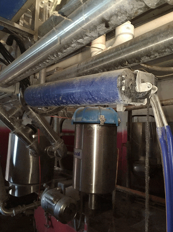 P 20190423 104340 Ll - Dairy Train Classifieds