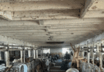 Used 2" SS Pipeline -- about 250 feet -- seller will remove from barn