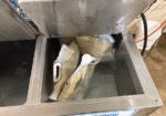 Colostrum Pasteurizer - view of Chiller cabinet