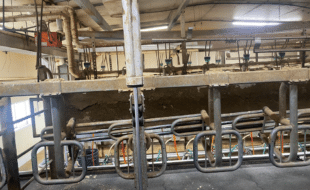 Vertical Lift Headgates Rotten Posts Surge Pulsators - Dairy Train Classifieds