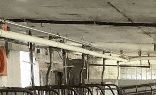 Bed Pvc Milk 1 - Dairy Train Classifieds