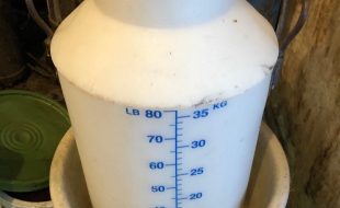 Bucket - Dairy Train Classifieds