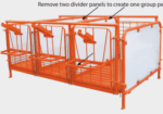 Calf Stall with solid sides & dividers, and expanded plastisol-covered flooring