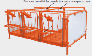 Calf Pens Two Sizes 1 - Dairy Train Classifieds