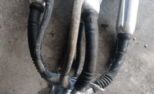 Claw And Shells - Dairy Train Classifieds