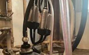 Claw And Shells - Dairy Train Classifieds