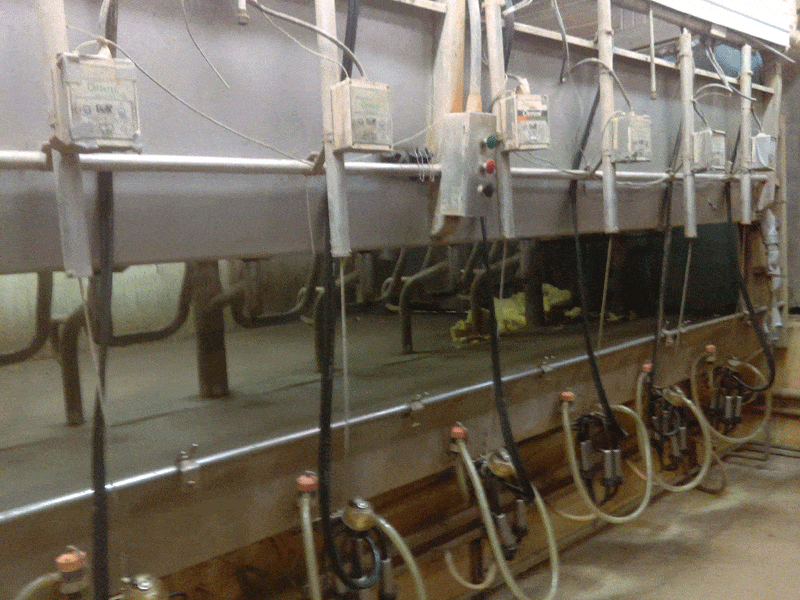 Crowd 1 1 - Dairy Train Classifieds